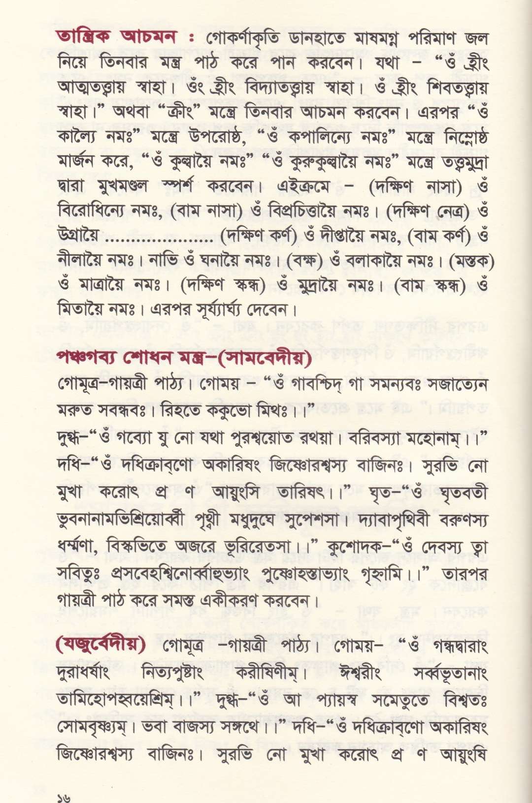 স্বনির্ভর শ্রীশ্রী কালী পূজা