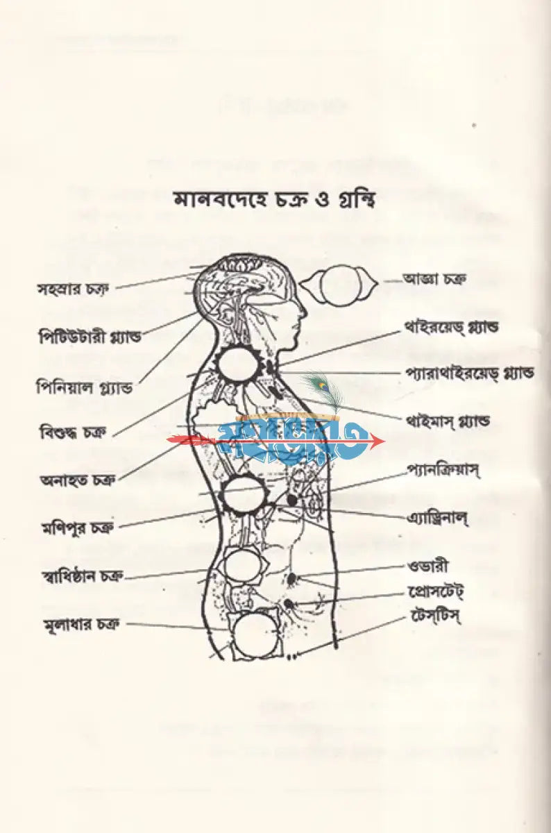 আধুনিক জীবনে যোগ Hindu Religious Books