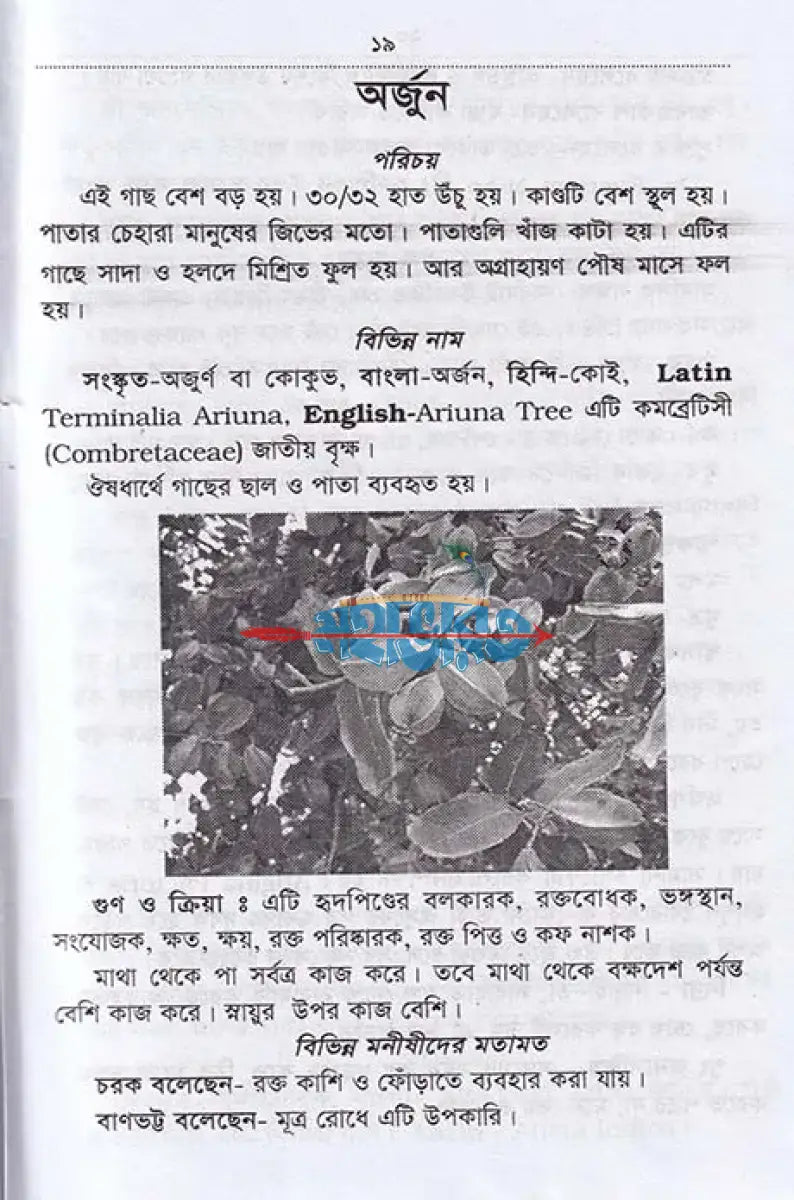 আদি ও আসল আয়ুর্বেদ ও কবিরাজী চিকিৎসা Hindu Religious Books