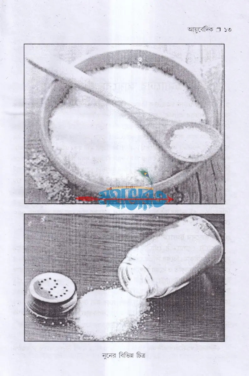 আয়ুর্বেদ ভেষজ ও প্রাকৃতিক চিকিৎসা Hindu Religious Books