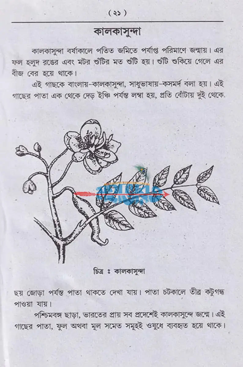 আয়ুর্বেদিক চিকিৎসা বিজ্ঞান Hindu Religious Books