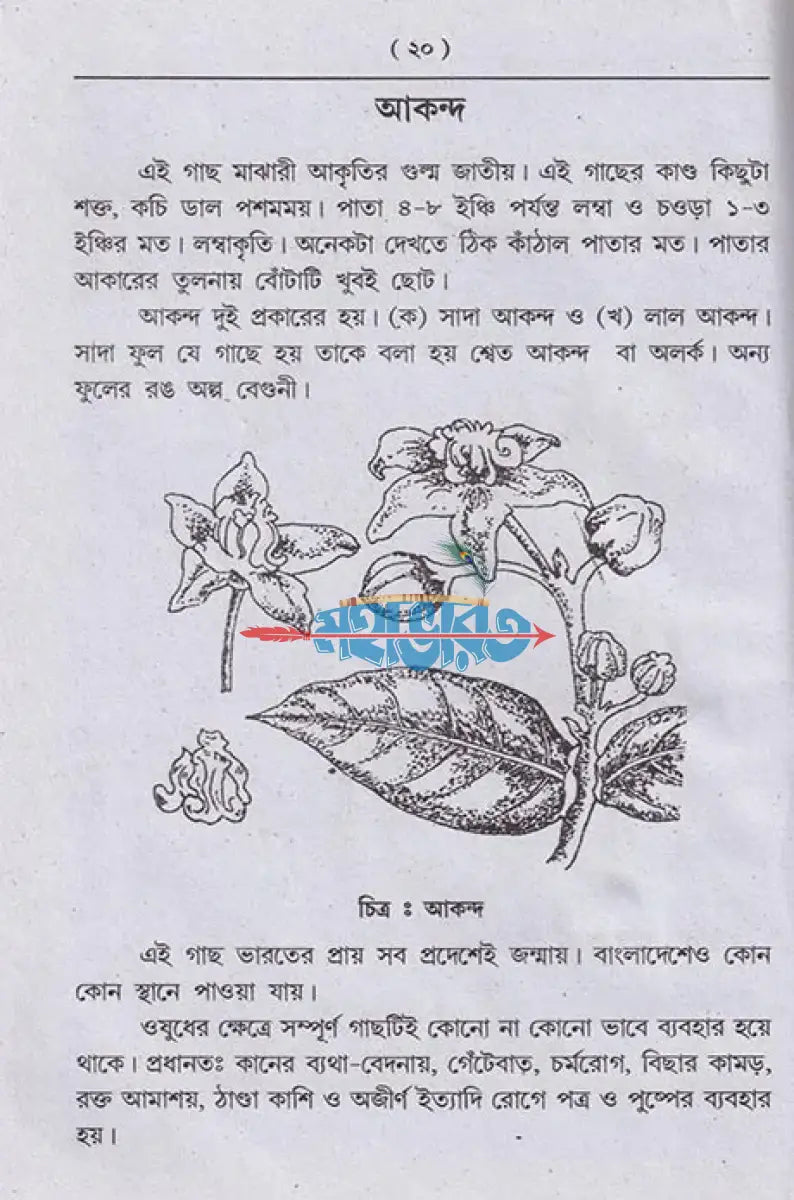 আয়ুর্বেদিক চিকিৎসা বিজ্ঞান Hindu Religious Books