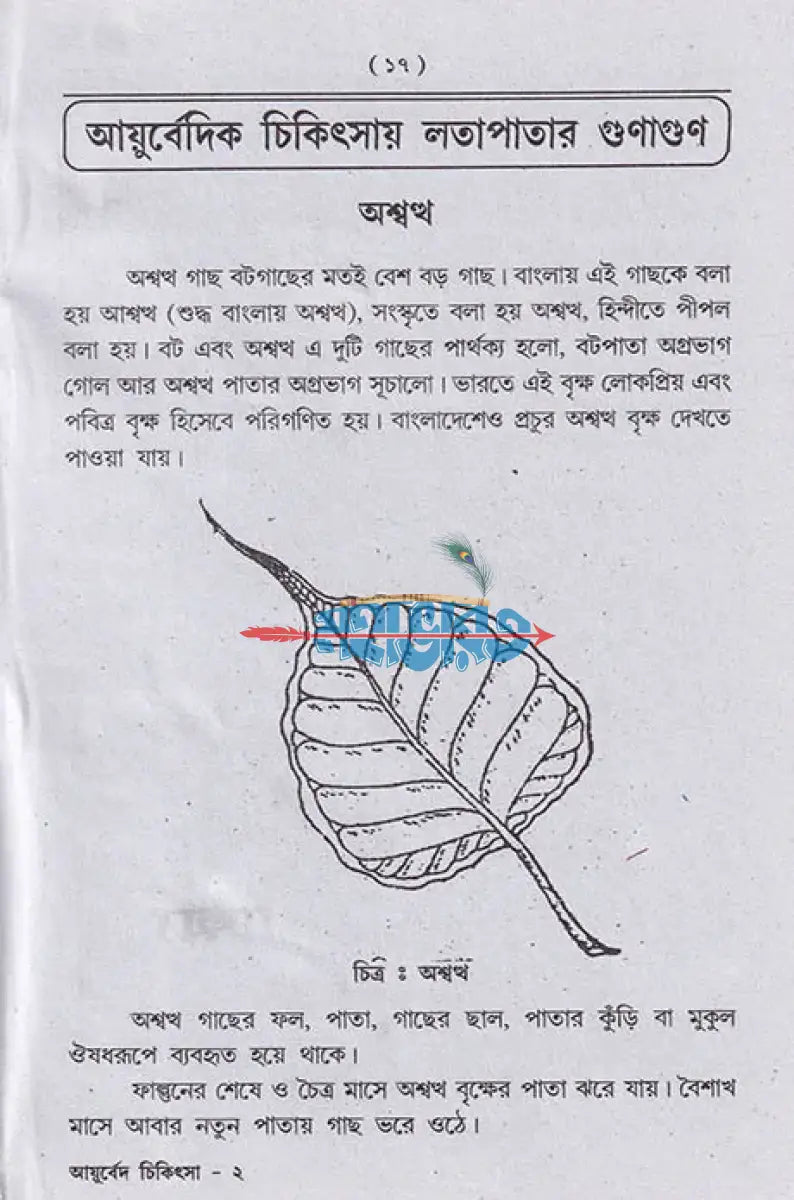 আয়ুর্বেদিক চিকিৎসা বিজ্ঞান Hindu Religious Books