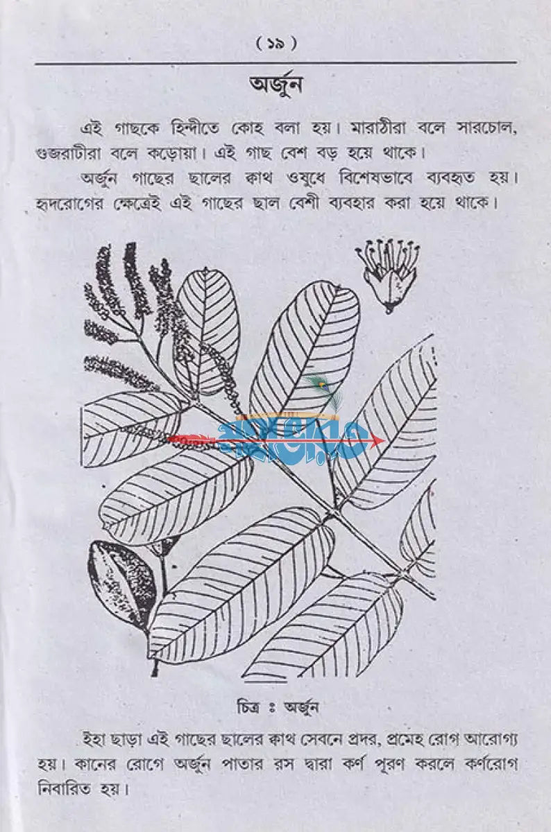 আয়ুর্বেদিক চিকিৎসা বিজ্ঞান Hindu Religious Books