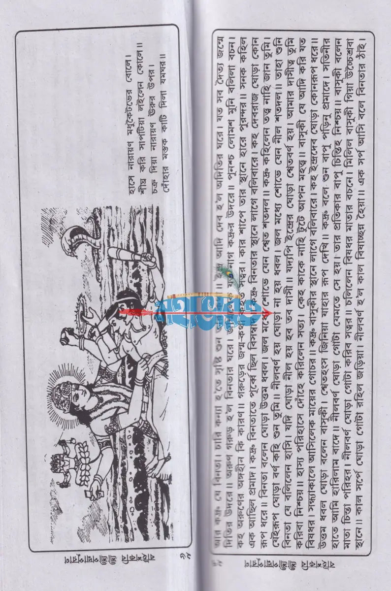 বাইশকবি শ্রীশ্রীপদ্মাপুরাণ Hindu Religious Books