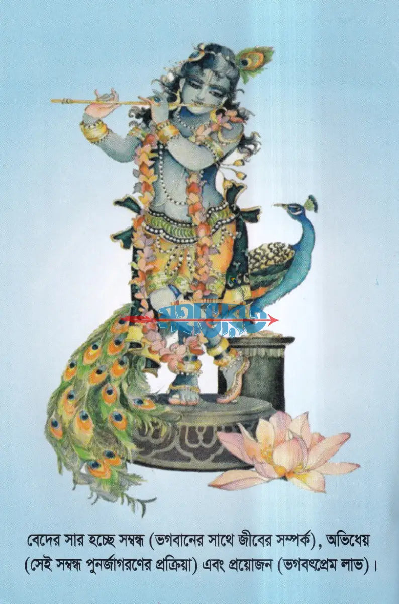 বেদের সারকথা Hindu Religious Books