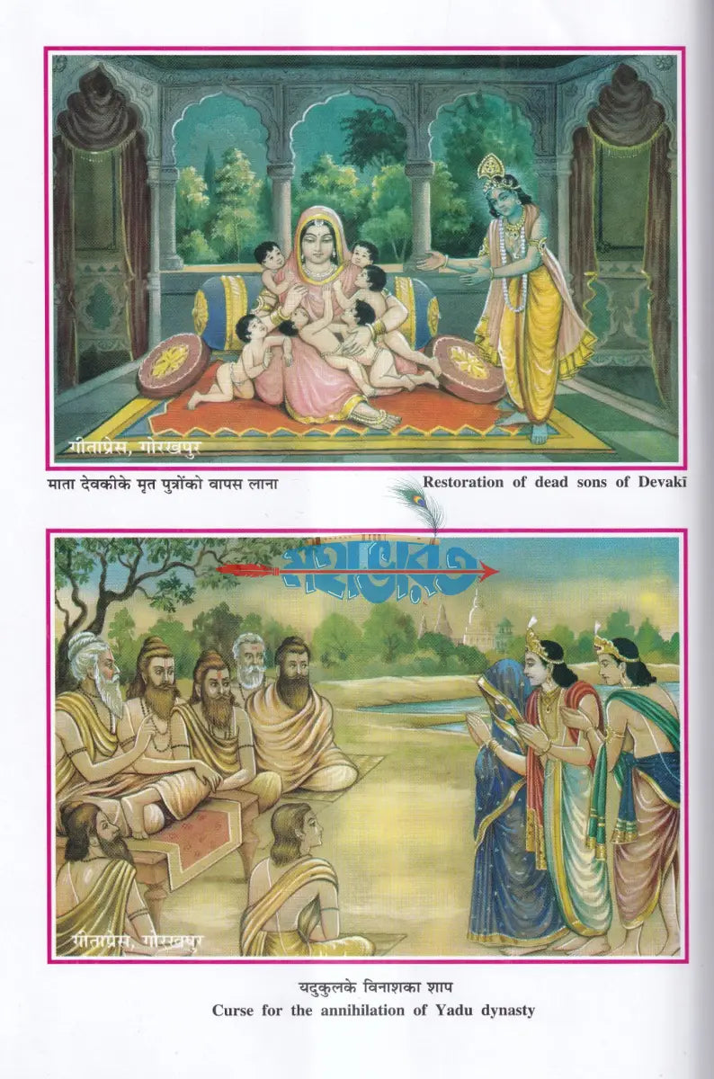 ভাগবত নবনীত Hindu Religious Books