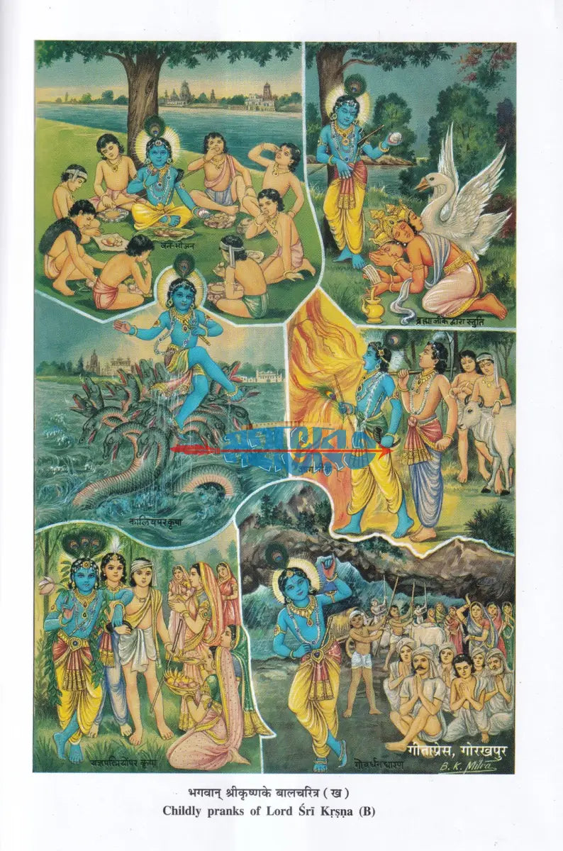ভাগবত নবনীত Hindu Religious Books