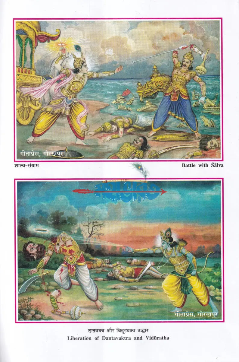 ভাগবত নবনীত Hindu Religious Books