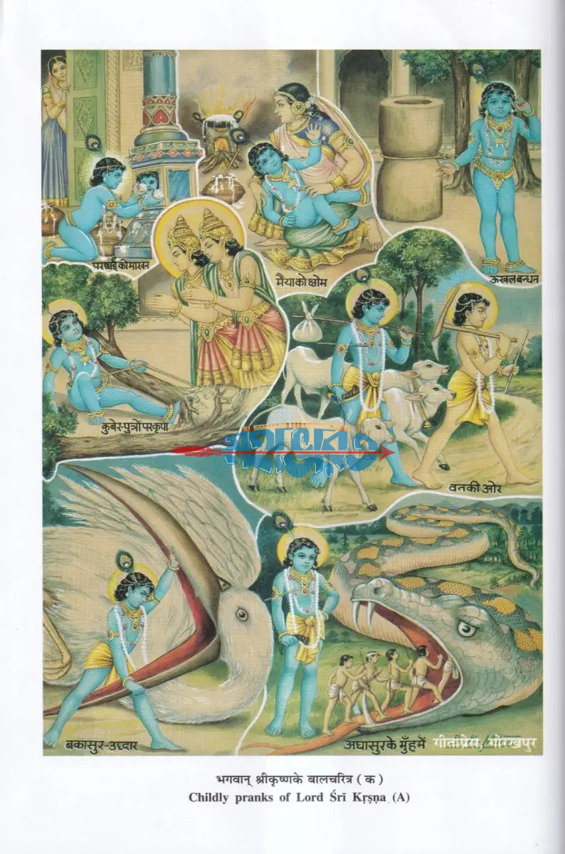 ভাগবত নবনীত Hindu Religious Books