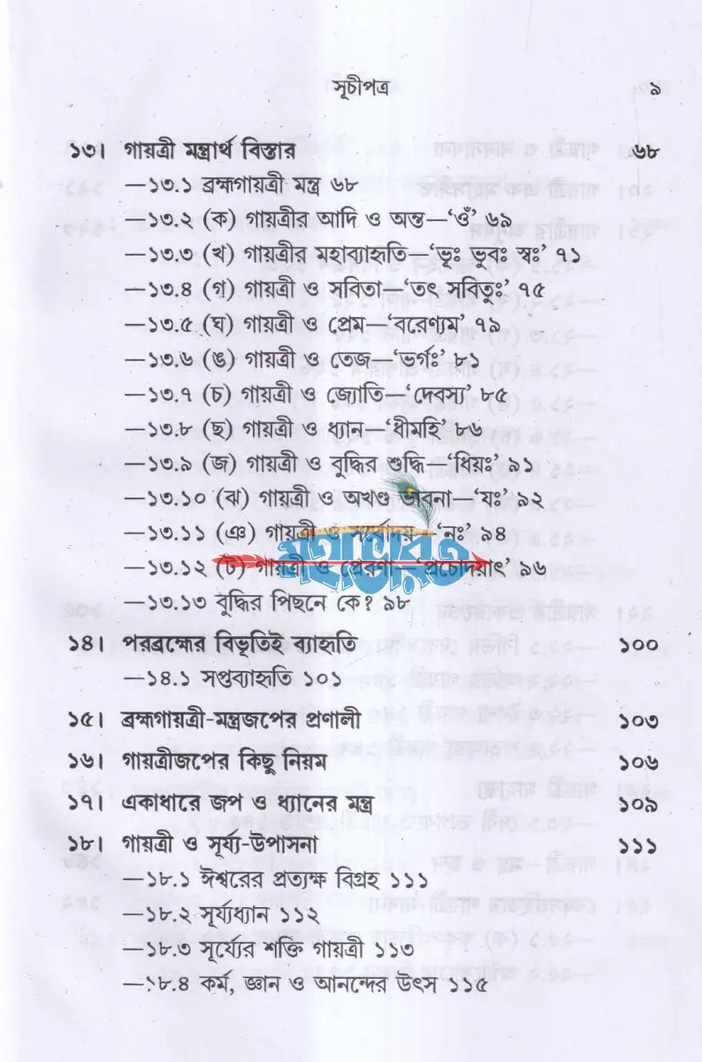 ব্রহ্মগায়ত্রী Hindu Religious Books