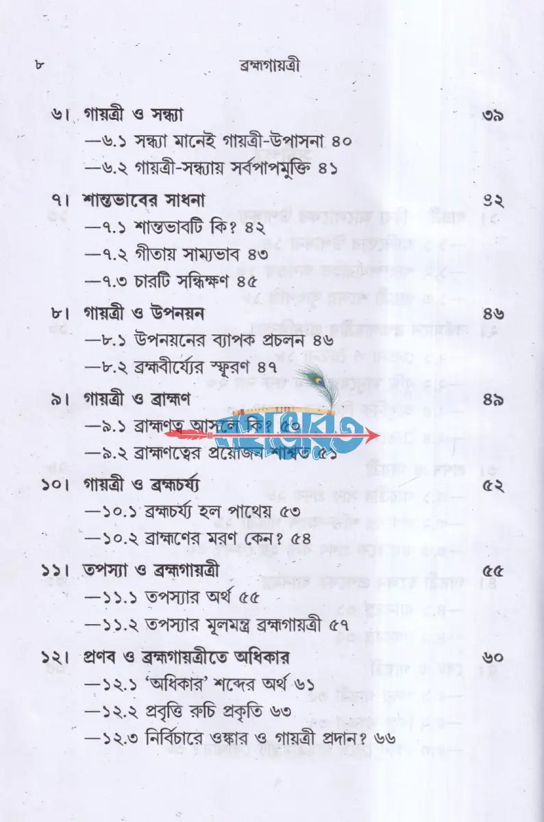 ব্রহ্মগায়ত্রী Hindu Religious Books