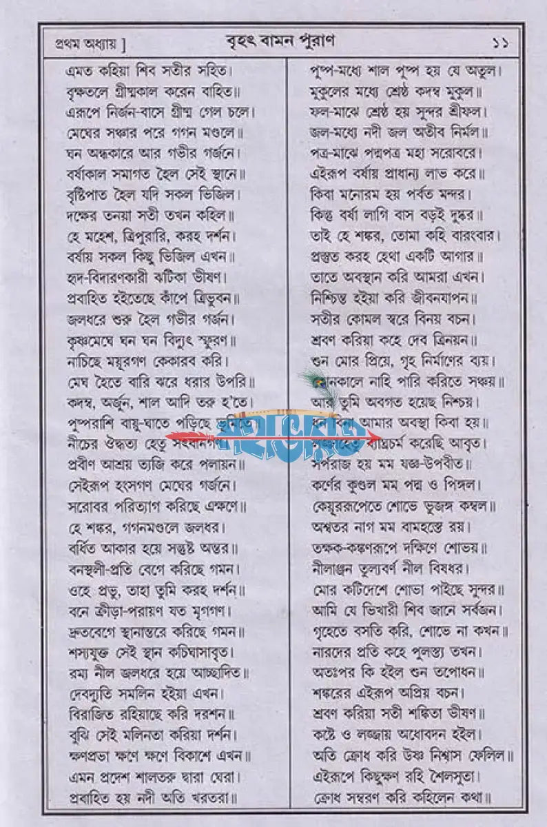 বৃহৎ আদি বামন পুরাণ Hindu Religious Books