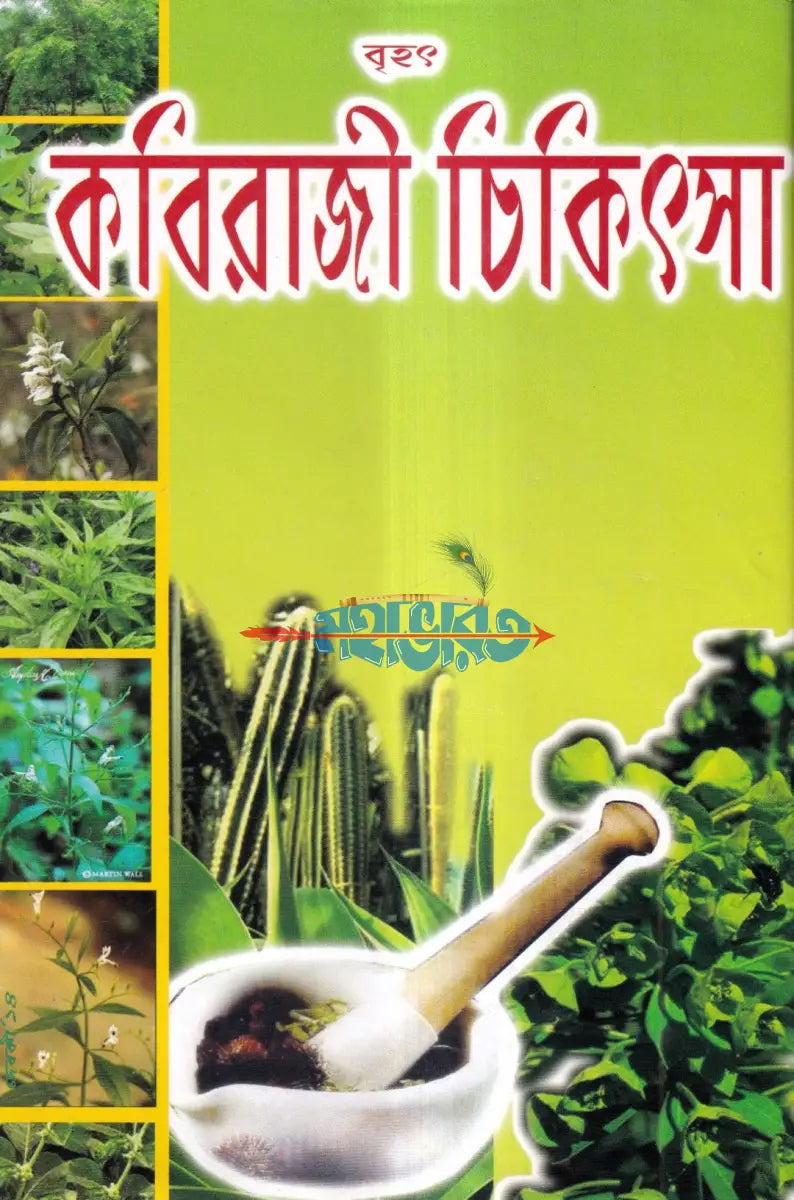 বৃহৎ কবিরাজী চিকিৎসা Hindu Religious Books