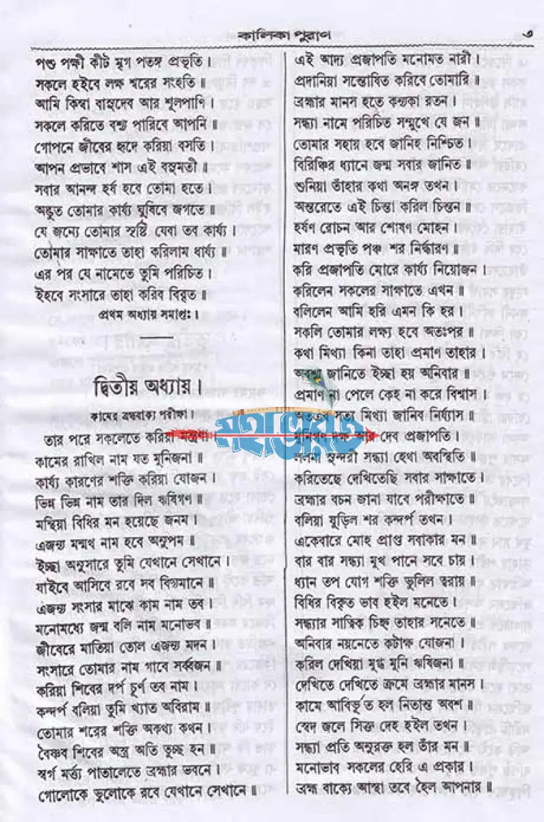 বৃহৎ কালিকা পুরাণ Hindu Religious Books