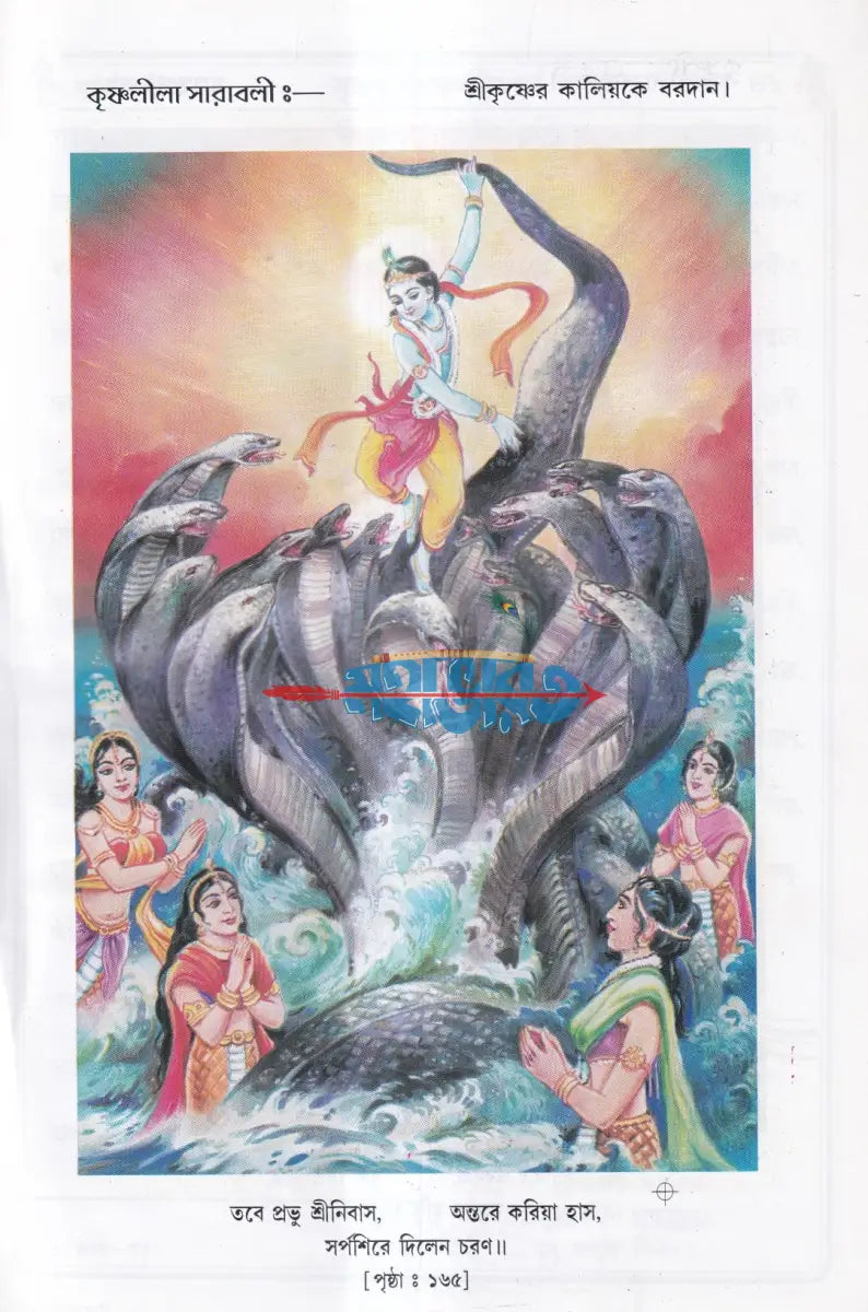 বৃহৎ কৃষ্ণলীলা সারাবলী Hindu Religious Books