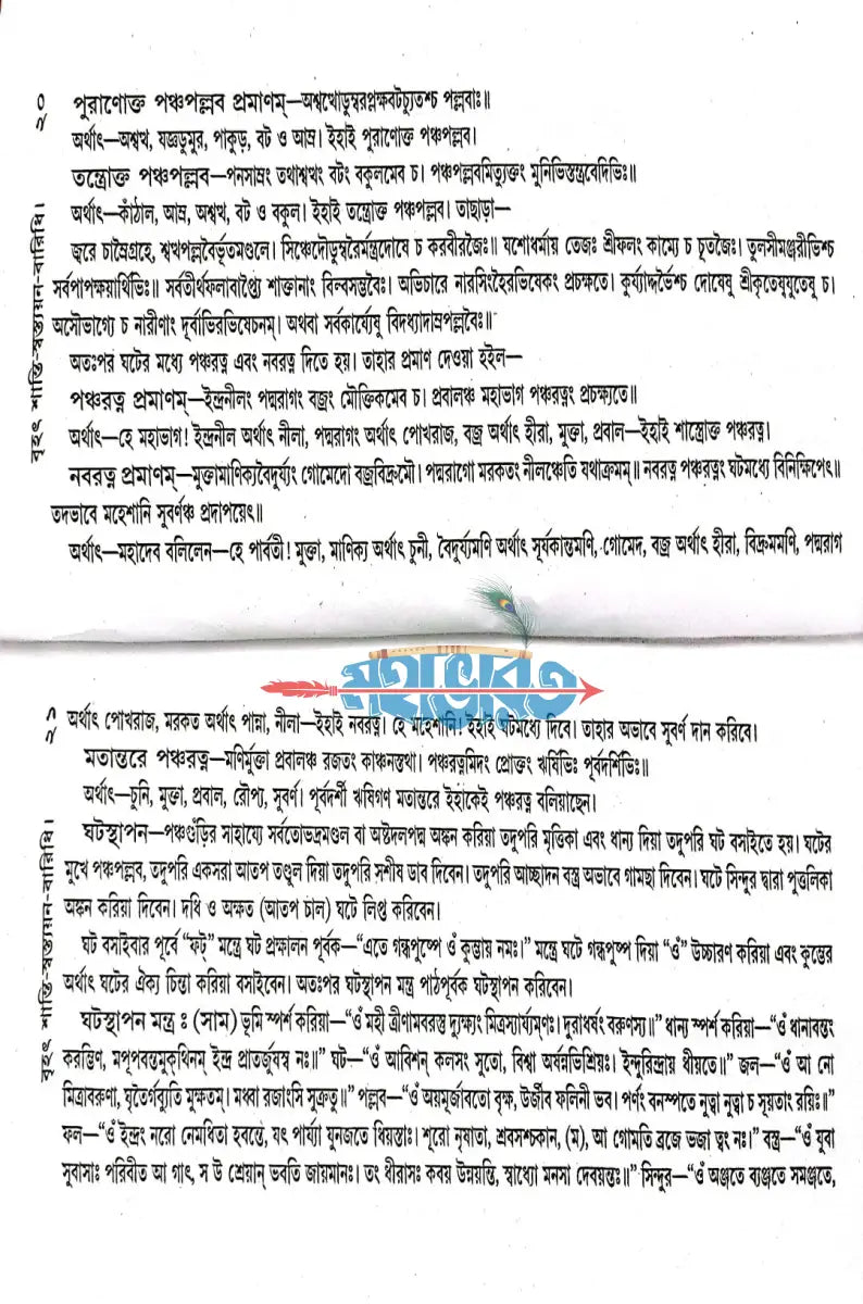 বৃহৎ শান্তি স্বস্ত্যয়ন বারিধি Hindu Religious Books