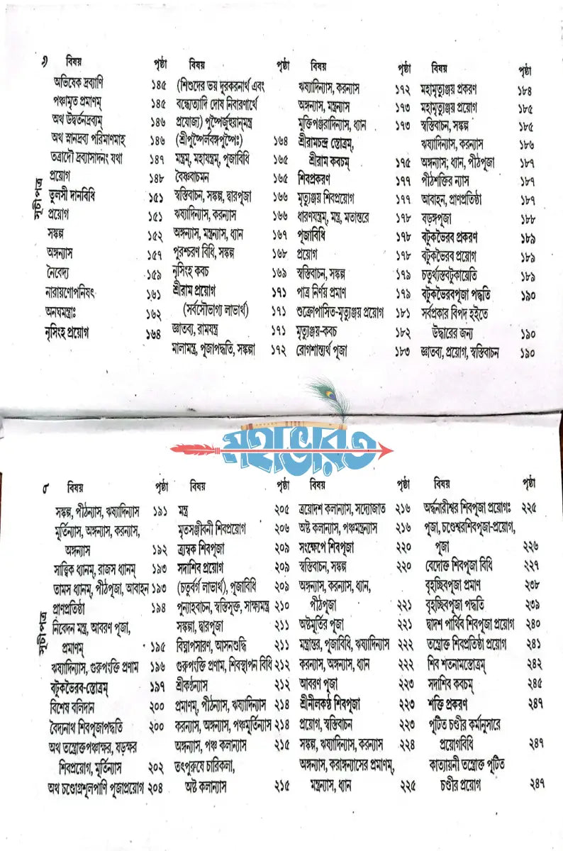 বৃহৎ শান্তি স্বস্ত্যয়ন বারিধি Hindu Religious Books
