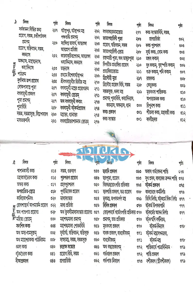 বৃহৎ শান্তি স্বস্ত্যয়ন বারিধি Hindu Religious Books