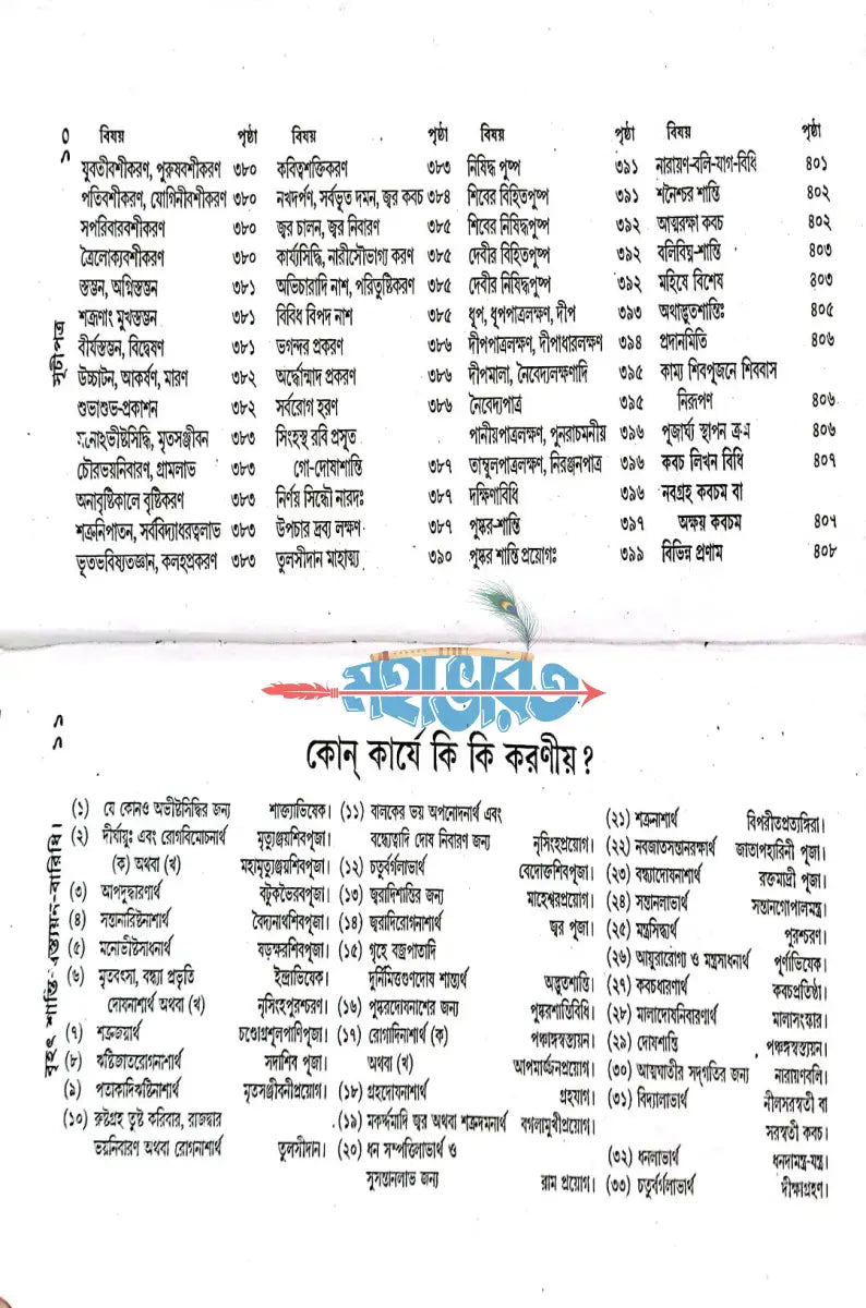 বৃহৎ শান্তি স্বস্ত্যয়ন বারিধি Hindu Religious Books