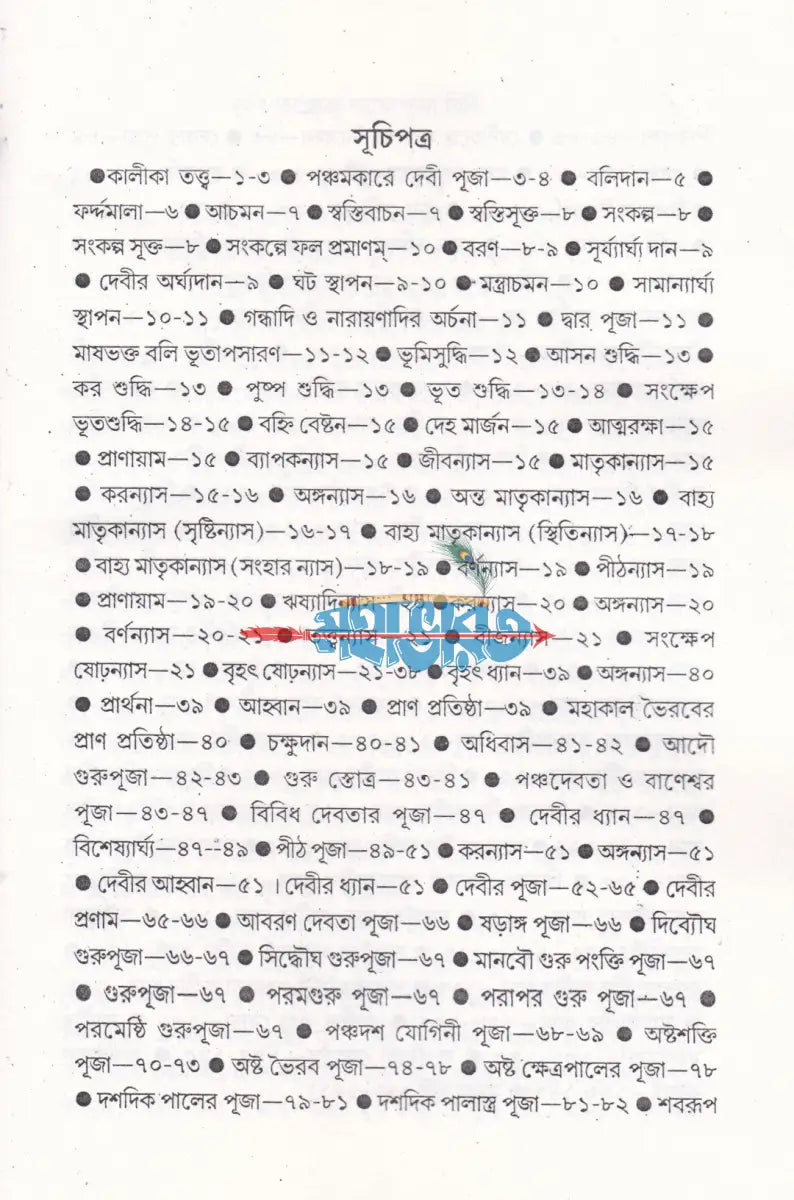 বৃহৎ তন্ত্রোক্ত শ্যামাপূজা বিধি Hindu Religious Books