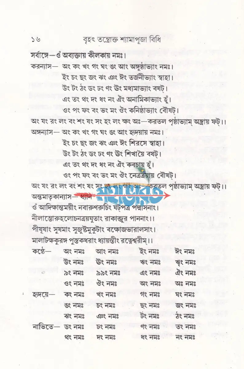 বৃহৎ তন্ত্রোক্ত শ্যামাপূজা বিধি Hindu Religious Books
