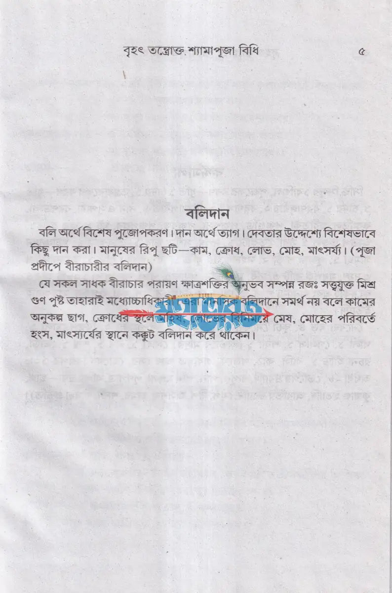 বৃহৎ তন্ত্রোক্ত শ্যামাপূজা বিধি Hindu Religious Books