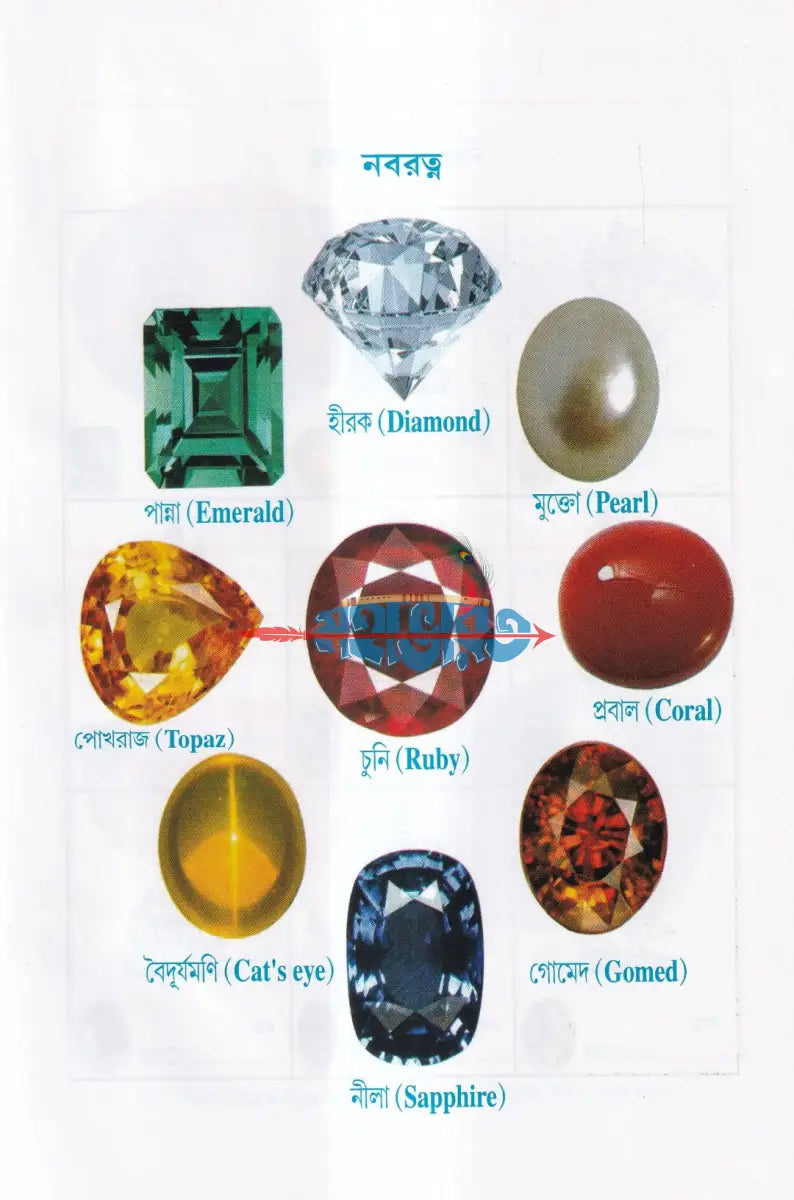 দৈনন্দিন জীবনে গ্রহ রত্ন Hindu Religious Books