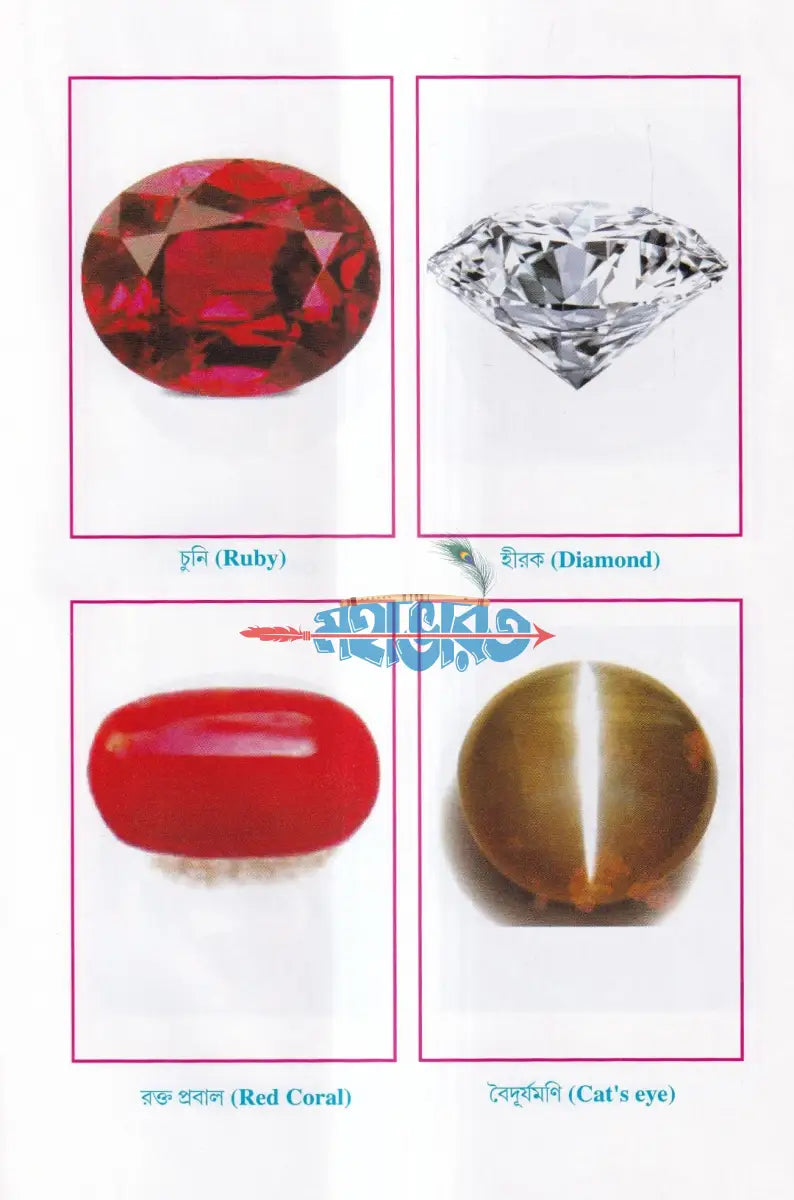 দৈনন্দিন জীবনে গ্রহ রত্ন Hindu Religious Books