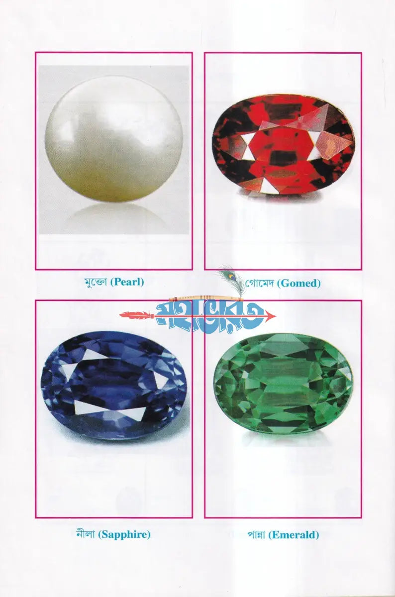 দৈনন্দিন জীবনে গ্রহ রত্ন Hindu Religious Books