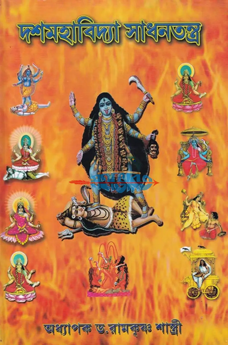 দশমহাবিদ্যা সাধনতন্ত্র Hindu Religious Books