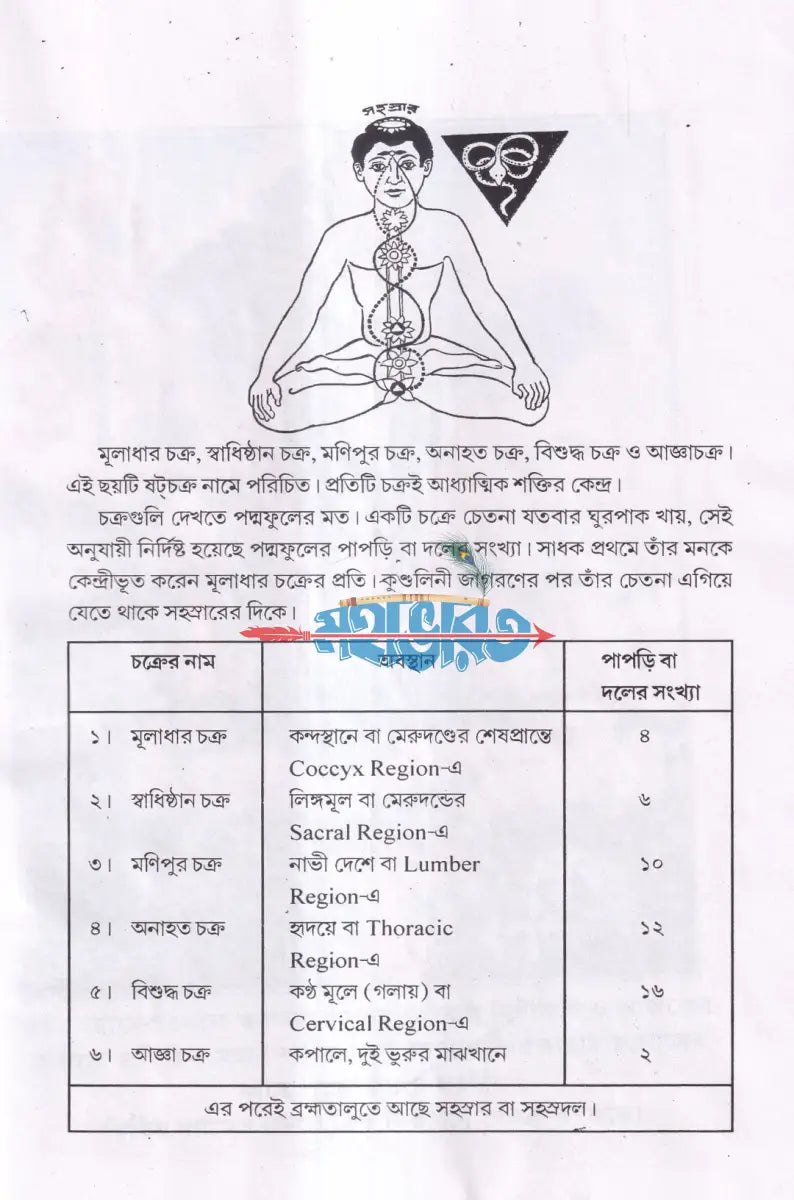 ধ্যান মানবজীবনে তার প্রয়োজনীয়তা Hindu Religious Books