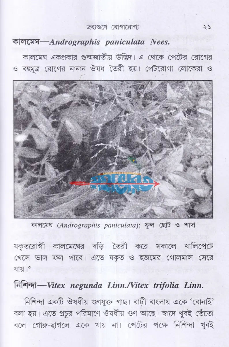 দ্রব্যগুণে রোগারোগ্য Hindu Religious Books