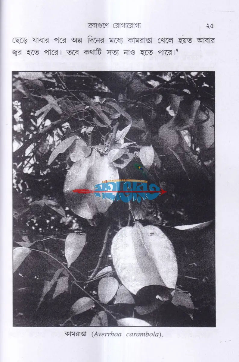 দ্রব্যগুণে রোগারোগ্য Hindu Religious Books