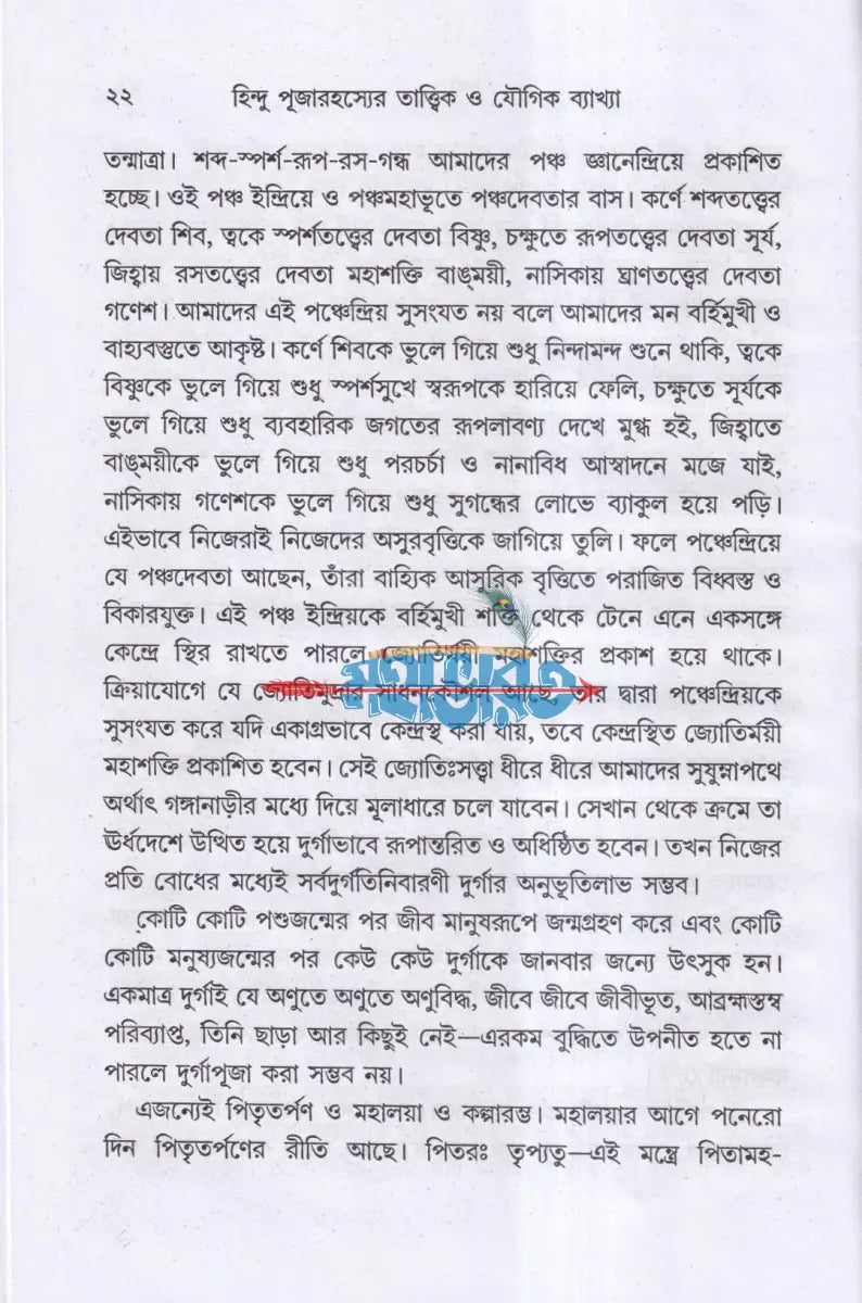 হিন্দু পূজা রহস্যের তাত্ত্বিক ও যৌগিক ব্যাখ্যা Hindu Religious Books