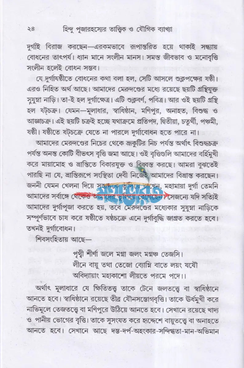 হিন্দু পূজা রহস্যের তাত্ত্বিক ও যৌগিক ব্যাখ্যা Hindu Religious Books