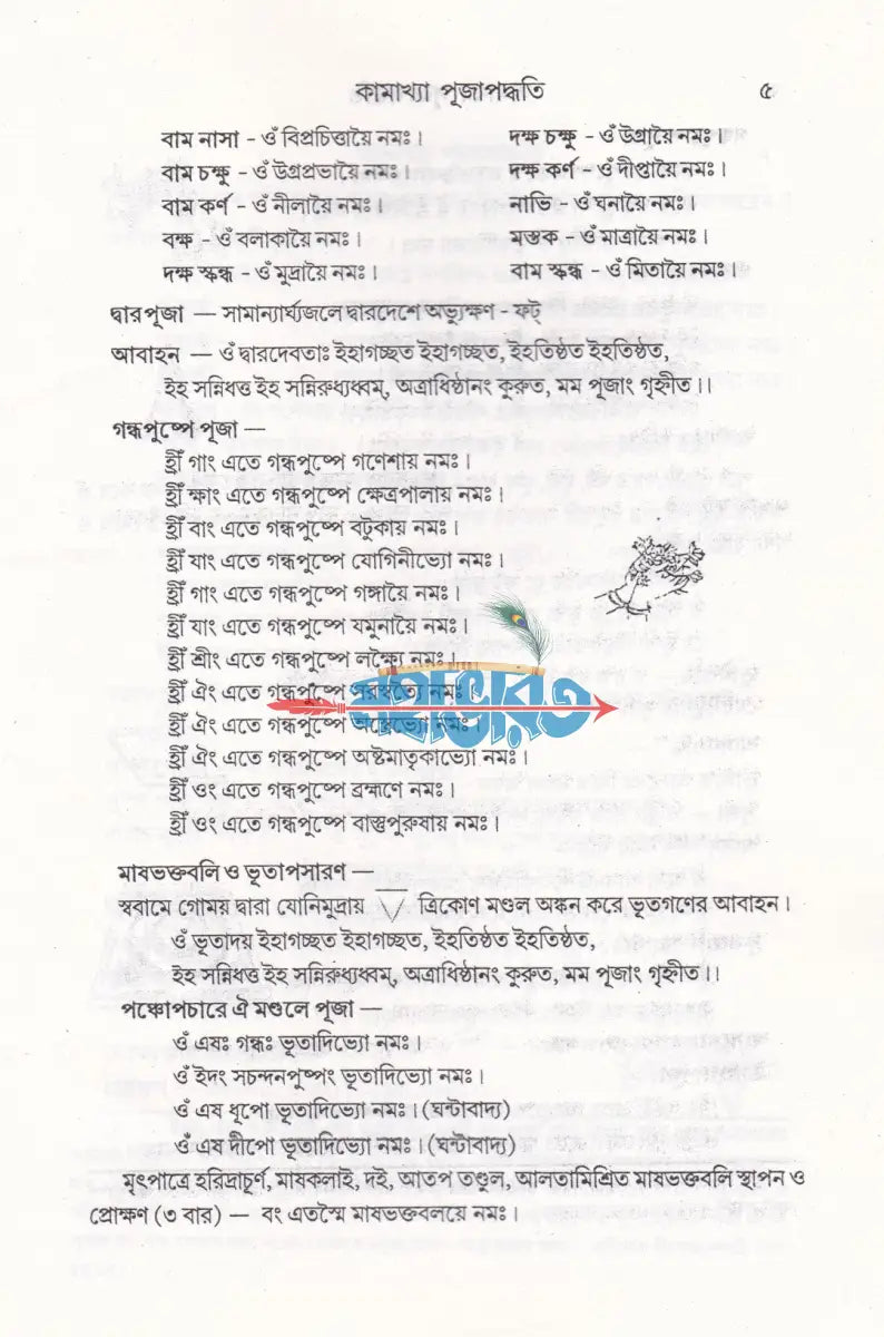 কামাখ্যা পূজাপদ্ধতি (তন্ত্রসাধন প্রণালী সহ) Hindu Religious Books