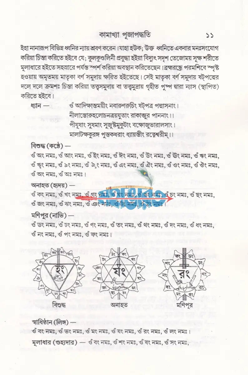 কামাখ্যা পূজাপদ্ধতি (তন্ত্রসাধন প্রণালী সহ) Hindu Religious Books
