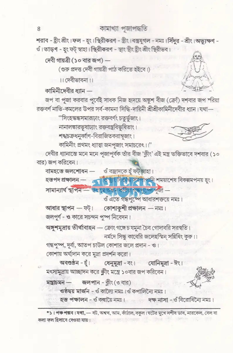 কামাখ্যা পূজাপদ্ধতি (তন্ত্রসাধন প্রণালী সহ) Hindu Religious Books