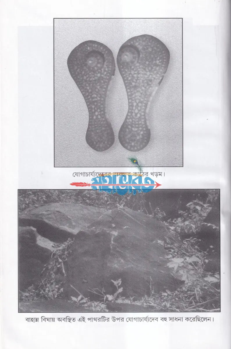 মহাযোগী পণ্ডিত পঞ্চানন ও তাঁর দিব্য জীবন Hindu Religious Books