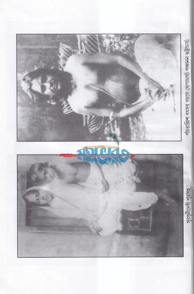 মহাযোগী পণ্ডিত পঞ্চানন ও তাঁর দিব্য জীবন Hindu Religious Books