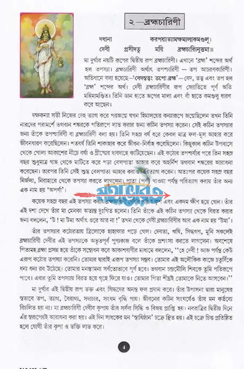 নবদুর্গা Hindu Religious Books