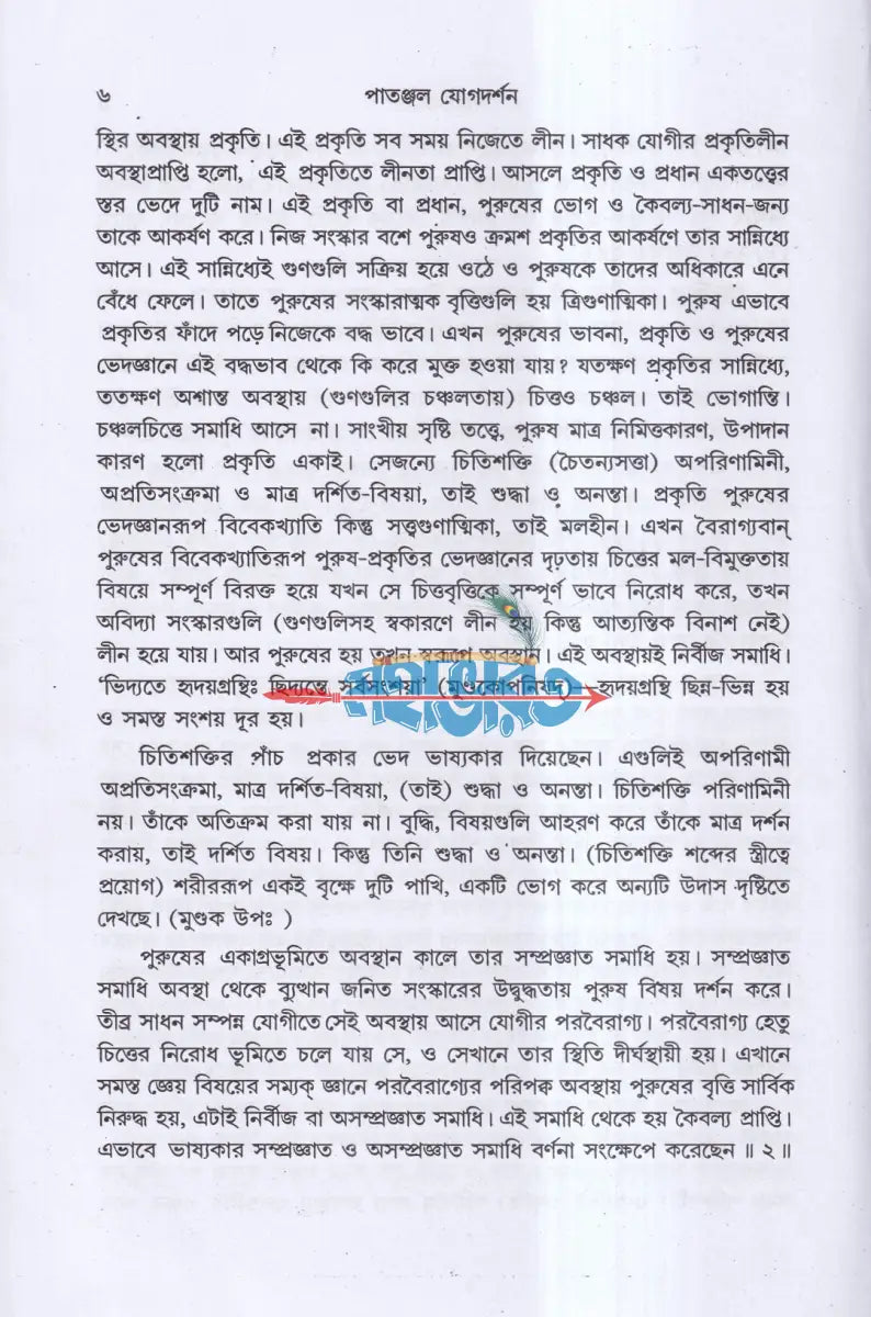 পাতাঞ্জল যোগদর্শন Hindu Religious Books