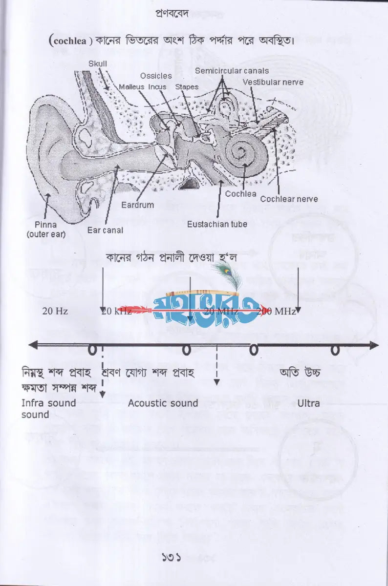 প্রণব বেদ Hindu Religious Books