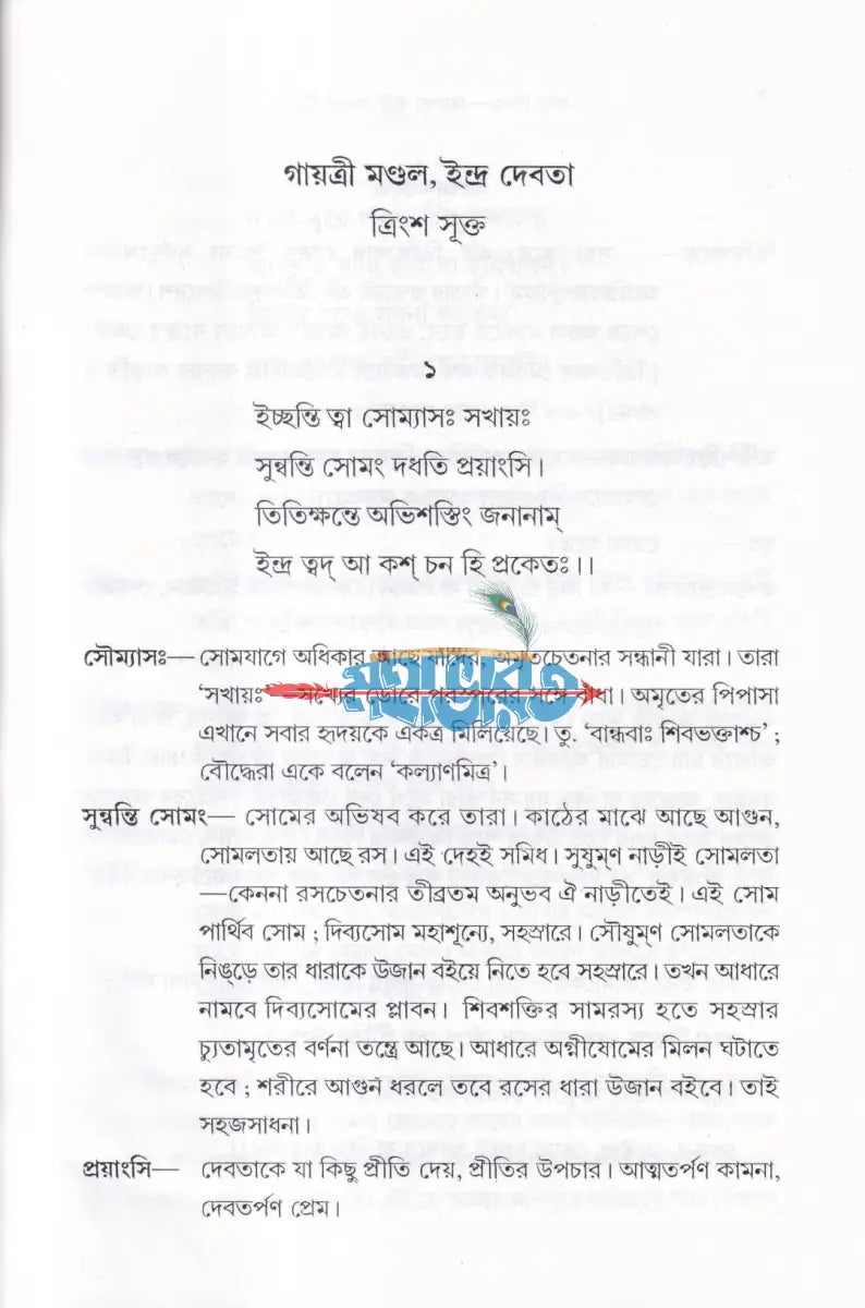 ঋগ্বেদ সংহিতা গায়ত্রী মণ্ডল ১ থেকে ৬ খণ্ড একত্রে Hindu Religious Books