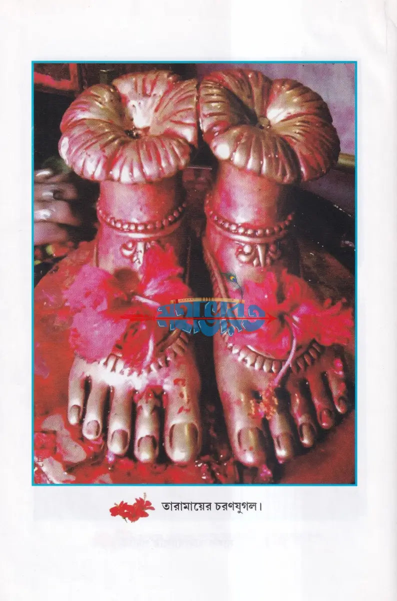 সাধক বামাখ্যাপা Hindu Religious Books