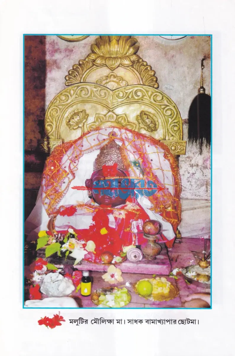 সাধক বামাখ্যাপা Hindu Religious Books