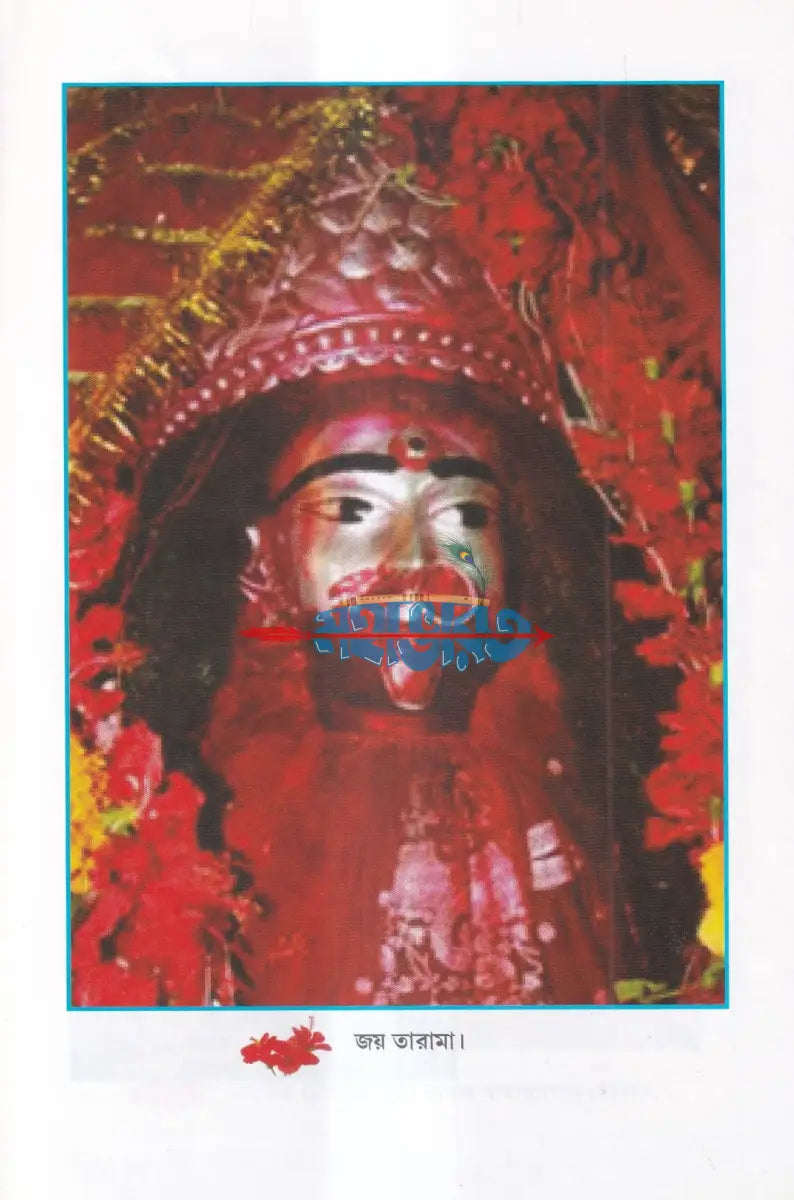 সাধক বামাখ্যাপা Hindu Religious Books