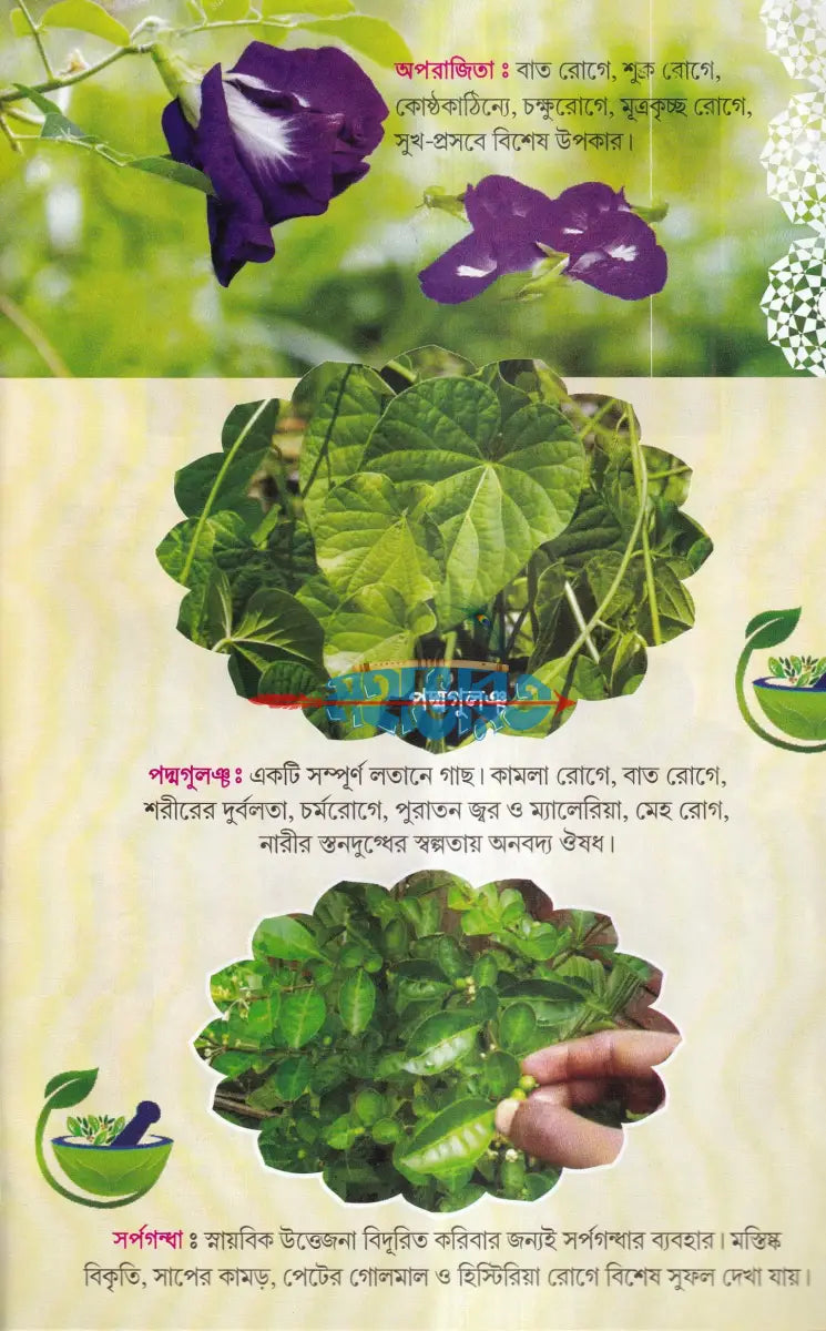 সহজ পারিবারিক আয়ুর্বেদিক চিকিৎসা Hindu Religious Books