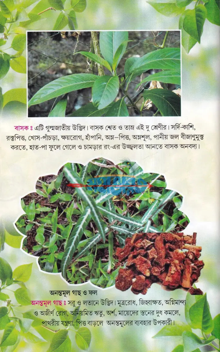 সহজ পারিবারিক আয়ুর্বেদিক চিকিৎসা Hindu Religious Books